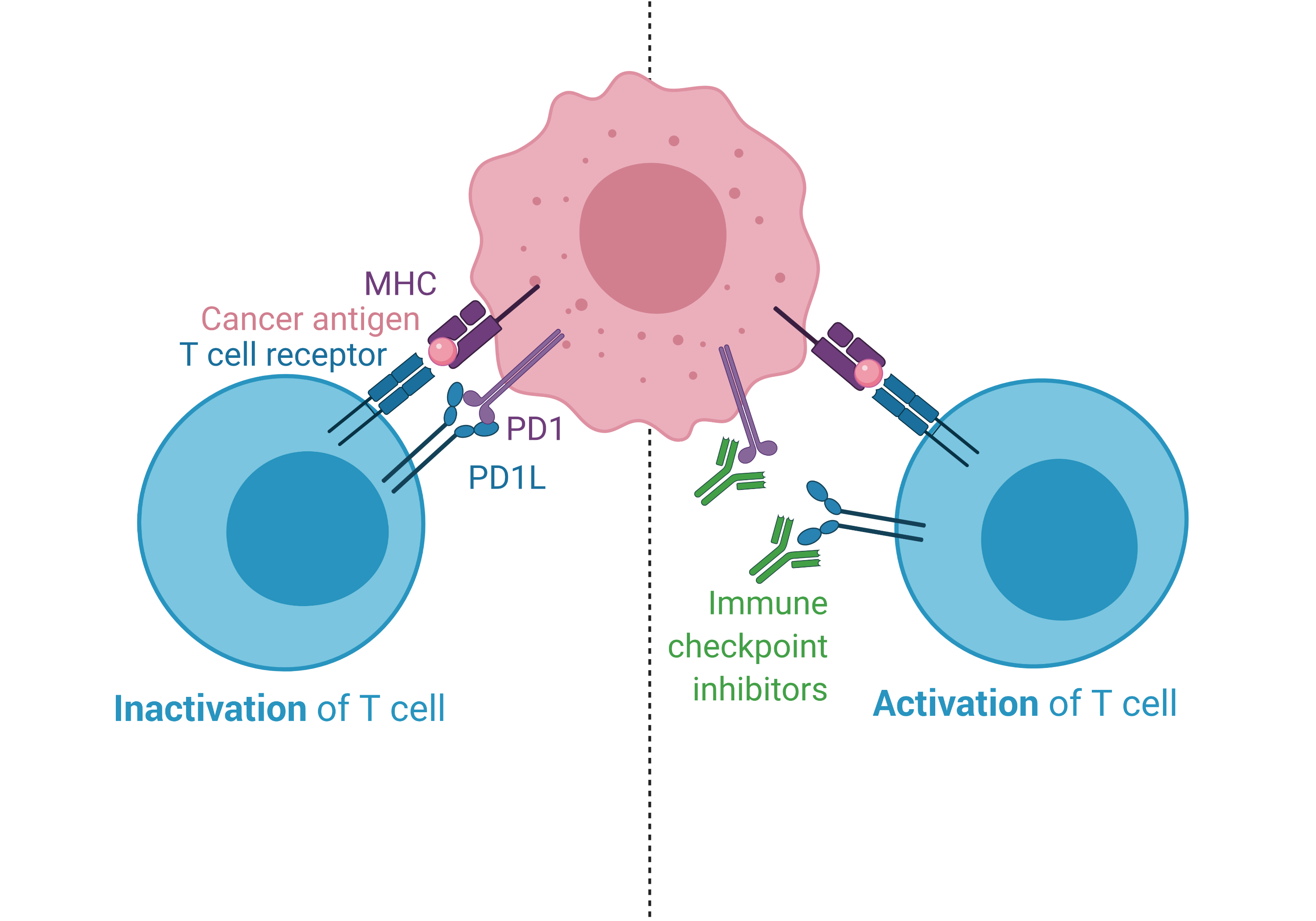 Genome Sciences Centre Biology Diagrams